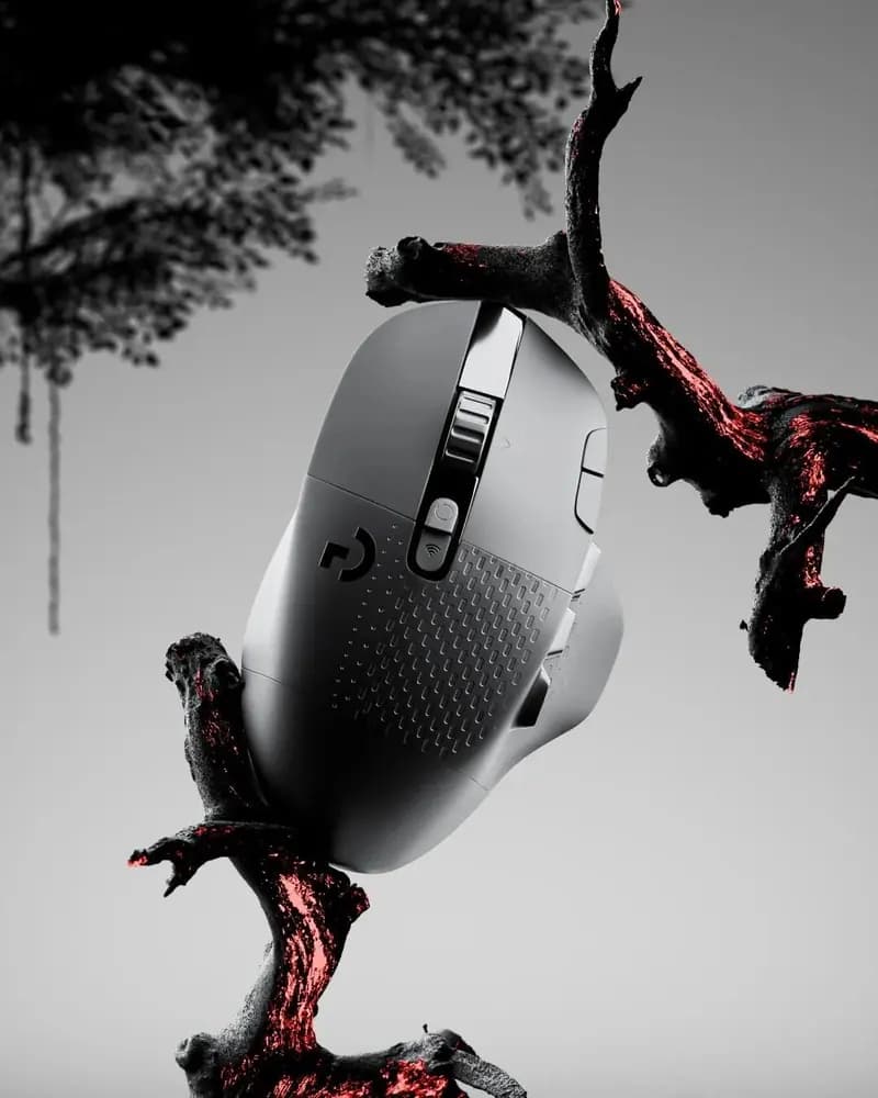 Пример фотографии: Mouse on a Branch